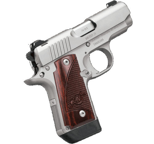 Kimber Micro 9 Stainless 9mm